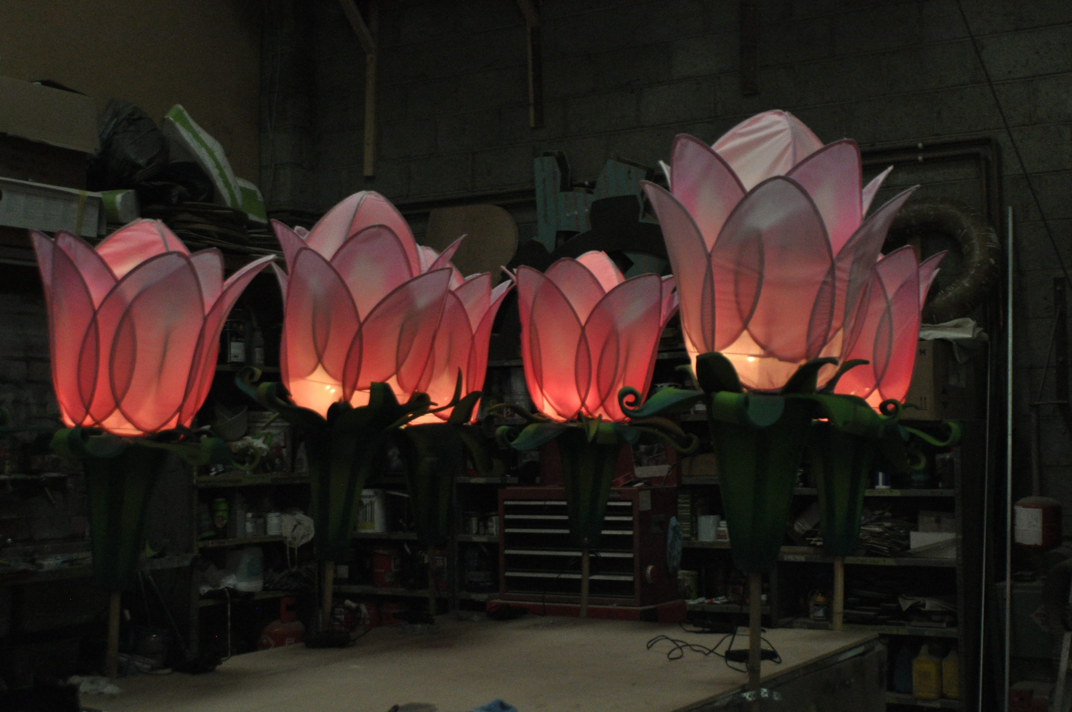 Lantern Flowers