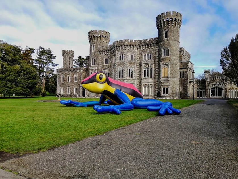 Giant Inflatable Frog